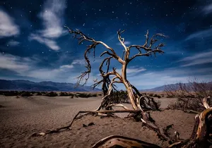 Private Tour Death Valley National Park from Las Vegas