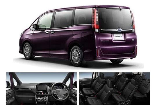 Shared Falmouth Hotel Shuttles To or From Montego Bay Airport