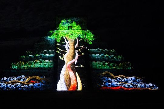 Snorkeling in Puerto Morelos