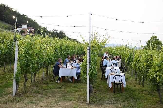 Guided Walk and Lunch in the Vineyard in Alba