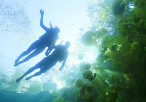 ECHANTING 2 Days excursion to 2 different ecoparks in RIVERA MAYA with transport