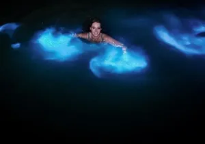 Luminous Lagoon from Montego Bay