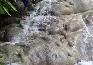 Zipline, Bobsled - Dunn's River - Bob Marley From Ocho Rios
