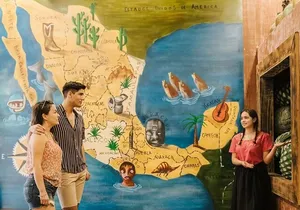 Live the Cancun City Experience! Round Transportation from Cancun