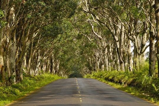 Kauai Poipu and Koloa Town Self-Guided Audio Tour
