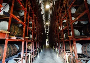 Appleton Rum Estate and Ys Falls From Montego Bay