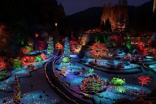Victoria and Butchart Gardens Christmas Tour