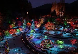 Victoria and Butchart Gardens Christmas Tour