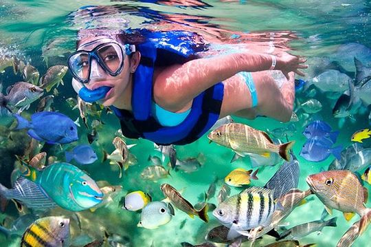 Isla Mujeres & Xelha Promo