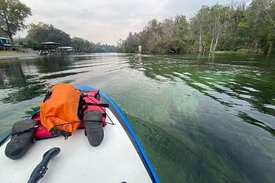 Rainbow Springs Electric Paddle Board Rentals