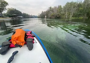 Rainbow Springs Electric Paddle Board Rentals