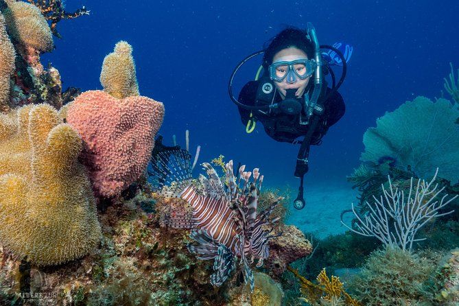 Private Bayahibe 3 Tank Diving with Lunch from Punta Cana