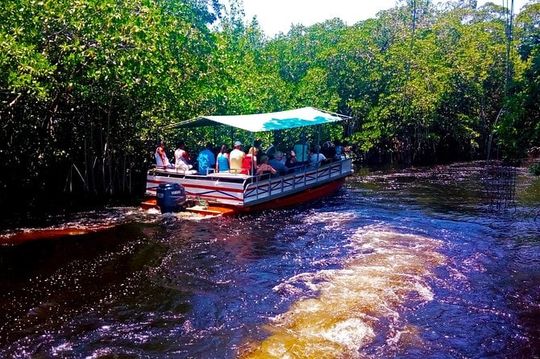  Black  River Safari * YS Falls  *  Appleton Rum Tour 