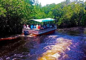 Black  River Safari * YS Falls  *  Appleton Rum Tour