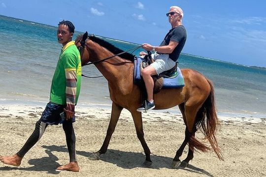 Horseback riding & bluehole secret falls from Montego Bay