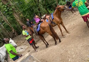 Private Horseback Riding with Blue Hole River Tour in Montego Bay