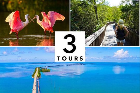 Florida Audio Tour Bundle 3 Self-Guided Sightseeing Tours