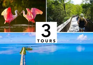 Florida Audio Tour Bundle 3 Self-Guided Sightseeing Tours