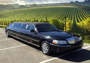 6 Hour Sonoma Pinot Noir and or Zinfandel Wine Tasting Tour