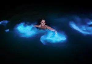 Luminous lagoon Dark night Tour from Ocho Rios and Runaway Bay Hotels