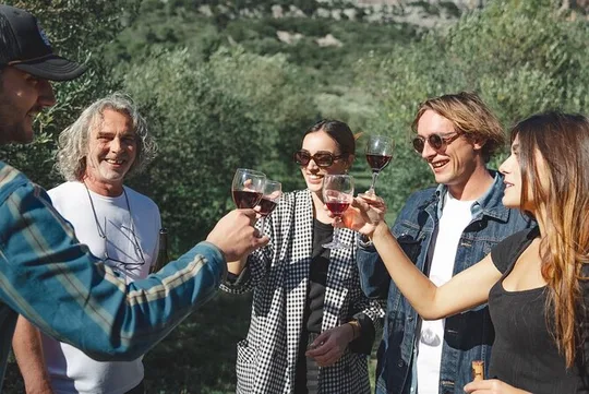Wine Tours and Tastings from Béziers
