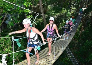 Zipline Thriller Adventure Tour (Private) (Admission Not Included)