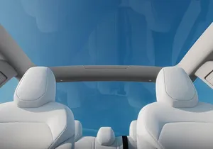 EV Private Transfer from Cancun Airport to Tulum