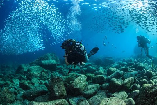 Los Cabos 2 tanks dive to The Corridor (Certified divers)
