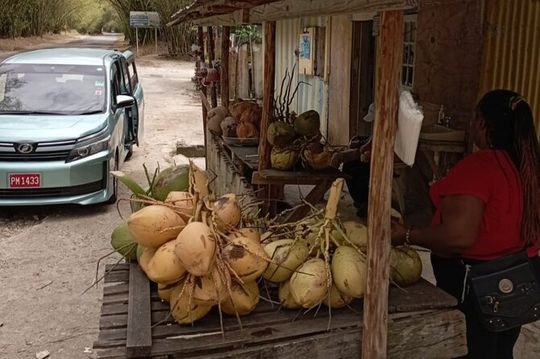 Private Joy Spence Appleton Experience from Montego Bay