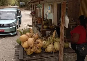 Private Joy Spence Appleton Experience from Montego Bay