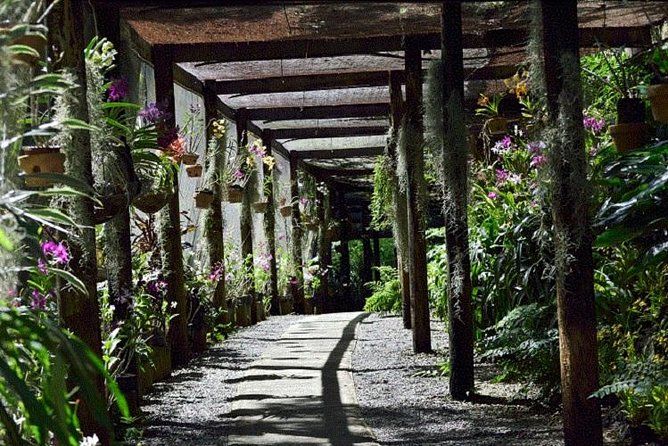 Wonders of Nadi Tour - Hindu Temple, Sleeping Giant Gardens, Markets & Shopping