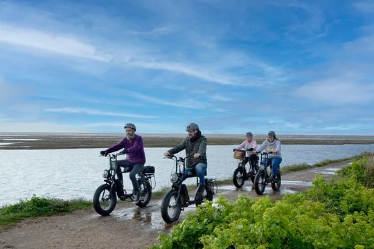 New Forest E-Bike Adventure