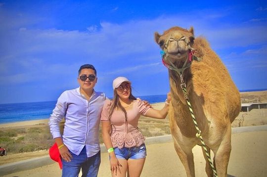 Discover Cabo San Lucas by camel ride
