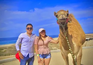 Discover Cabo San Lucas by camel ride