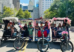 NYC Central Park guided Pedicab Tour - 2 hours
