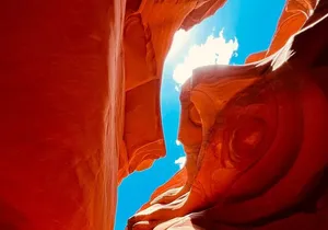 5 Day Tour L. Angeles Las Vegas Yellowstone & Grand Teton from LA