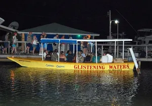 Luminous Lagoon Nighttime Boat Tour from Montego Bay