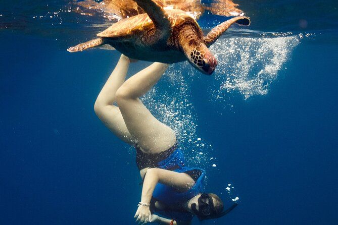 Shared snorkeling tour TAHITI