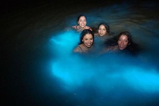 Falmouth Mystic from Montego Bay Luminous Lagoon Night Tour