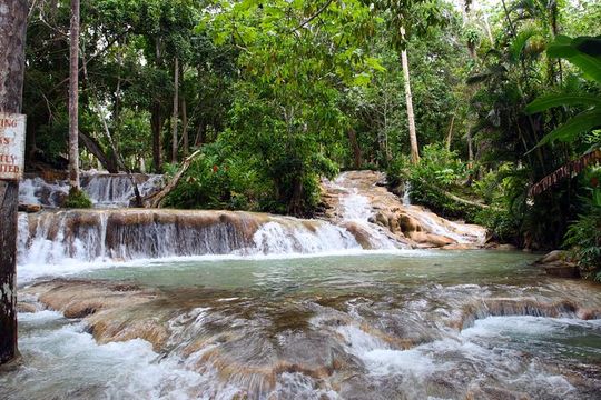 Private Tour to Dunn's River Falls From Ocho Rios