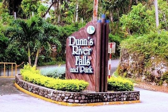 Montego Bay to Dunn's River Small Group Tour