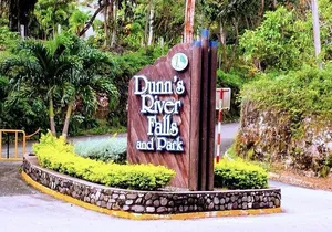 Montego Bay to Dunn's River Small Group Tour