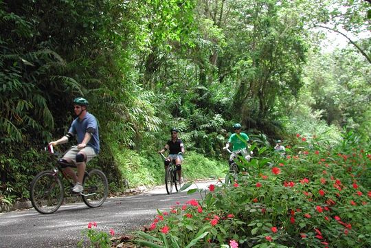 Original Blue Mountain Bicycle Tour from Falmouth