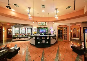 VIP 90-Minute Reflexology & Hot Stone Massage Combo