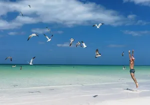 Full Day Tour of Isla Holbox and Isla Pasión with Cenote