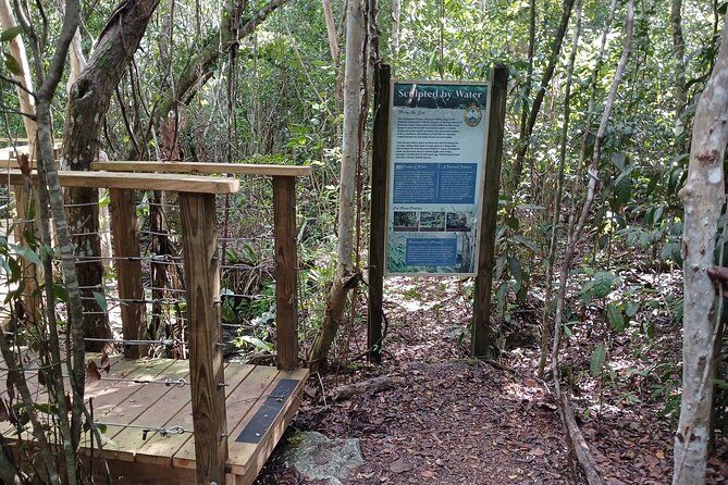 Guided Primeval Nature Walk Tour in Primeval Forest National Park
