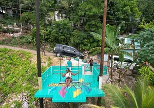 Bali Style Swing and Dunn's River Falls