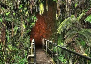 Deluxe Road to Hana Rainforest and Waterfall Experience from Oahu