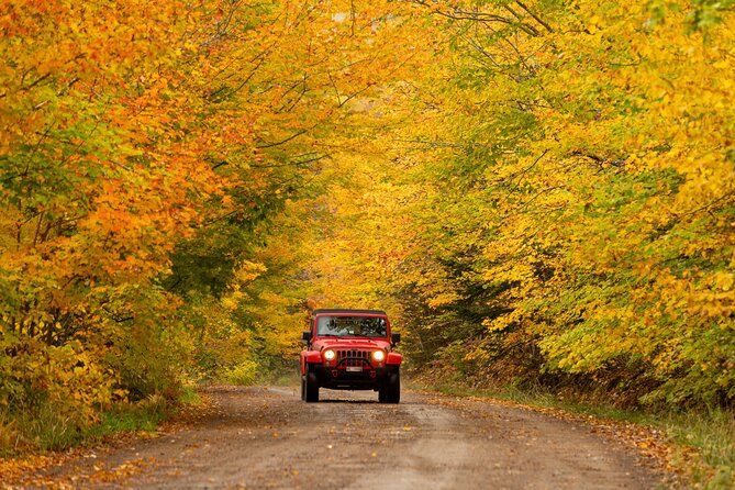 Cape Breton: Fall Colours Scenic Tour | Private