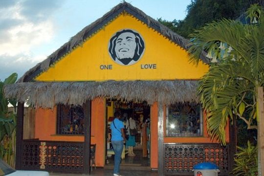 Dunns River Falls plus Bob Marley Nine Mile Private Tour